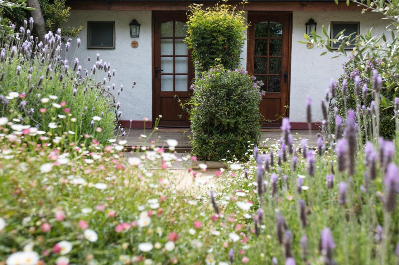 Casa Calfu Hotel Santa Cruz Exterior photo